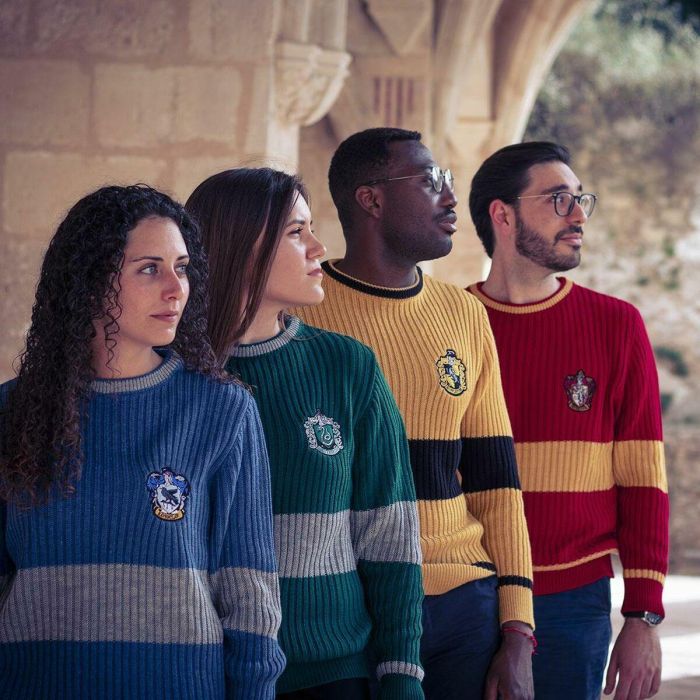 Jersey Unisex Harry Potter Verde 1 Jersey Unisex Harry Potter Verde 1