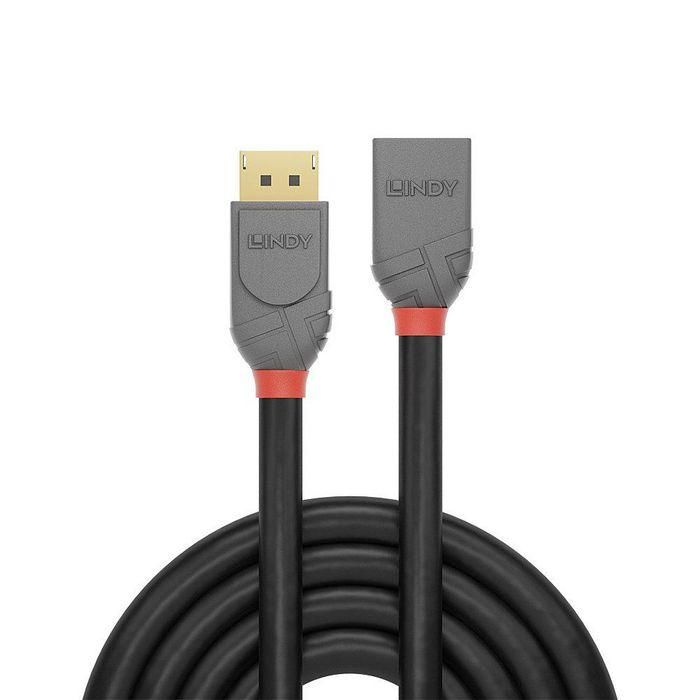 Lindy Anthra Line Cable de Extensión DisplayPort 1.4, 2m, UHD 8K, Triple Apantallado, Contactos Oro 1