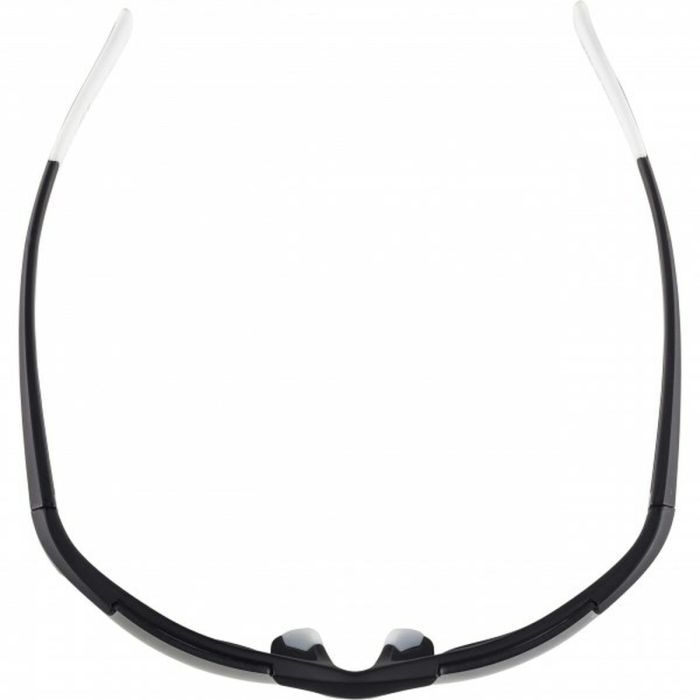 Gafas de Sol Hombre Alpina DEFEY HR 1