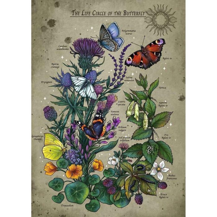 Puzzle Ravensburger The Life Circle of the Butterfly 1000 Piezas 3 Puzzle Ravensburger The Life Circle of the Butterfly 1000 Piezas 3