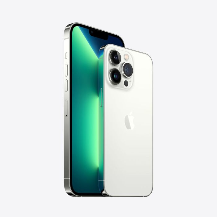 Smartphone Apple iPhone 13 Pro Max Plateado Plata A15 6,7" 256 GB 3 Smartphone Apple iPhone 13 Pro Max Plateado Plata A15 6,7" 256 GB 3