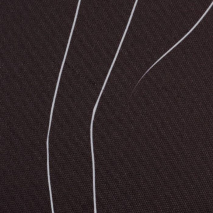 Cuadro Impresión Desnudo 2/M Dm 50 X 1,20 X 50 cm