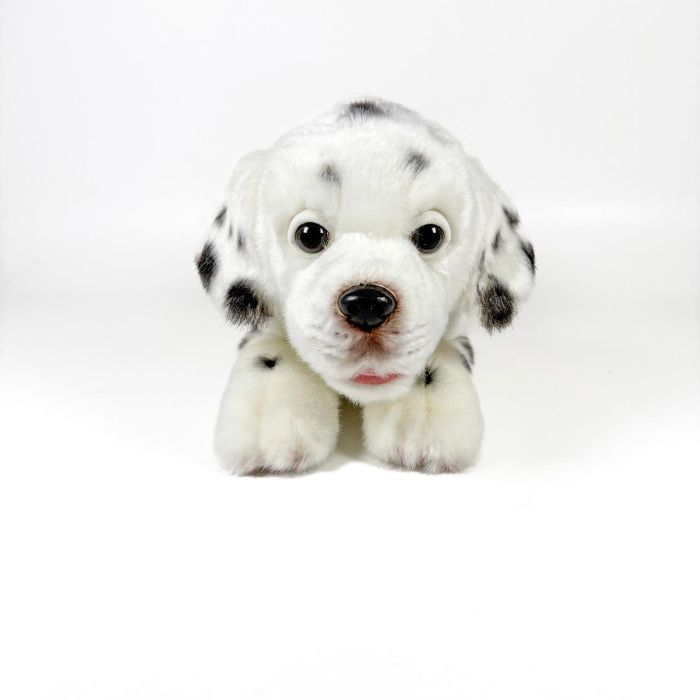Peluche Dalmata Tumbado 25Cm 939D00287 Bocalan 2 Peluche Dalmata Tumbado 25Cm 939D00287 Bocalan 2