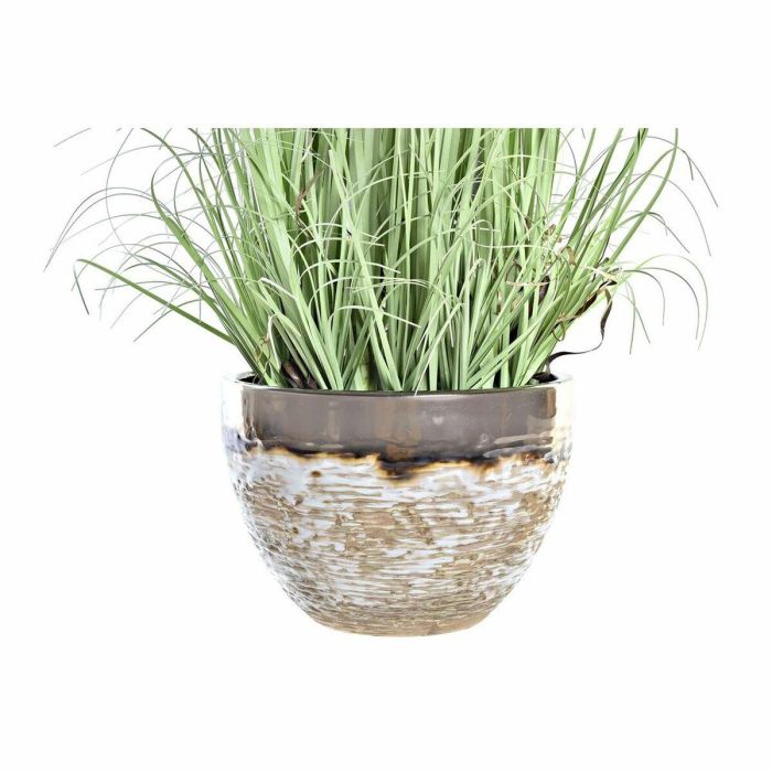 Planta DKD Home Decor Rosa Palo Rosa 20 x 78 x 20 cm (2 Unidades) 1 Planta DKD Home Decor Rosa Palo Rosa 20 x 78 x 20 cm (2 Unidades) 1