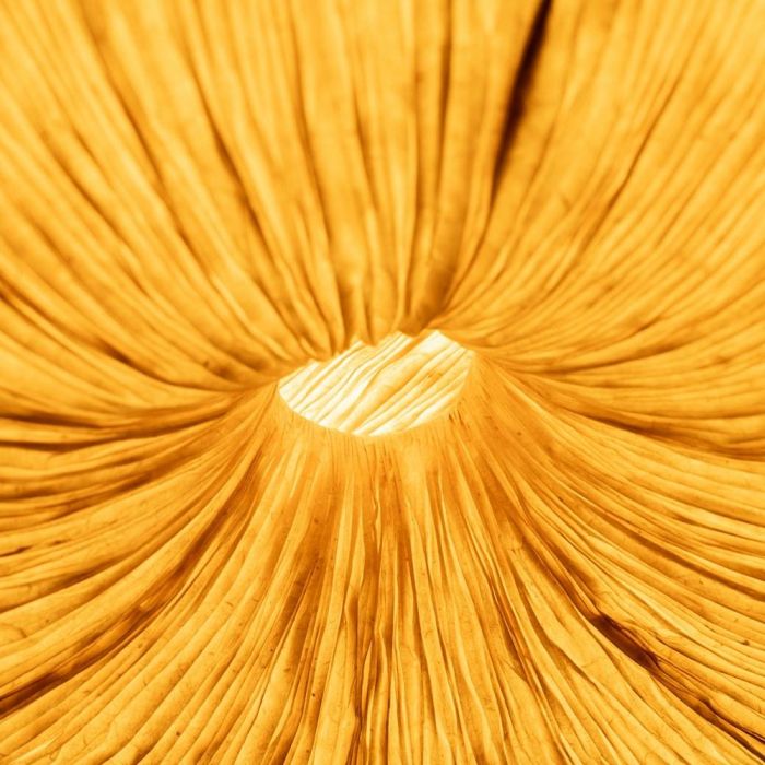 Lámpara Techo Beige Papel-Metal 55,50 X 55,50 X 30 cm