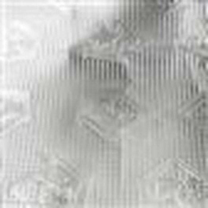 Lighthouse LIG5034517152032 Caja de cultivo MAX 0,76 m x 0,76 m x 1,8 m 1