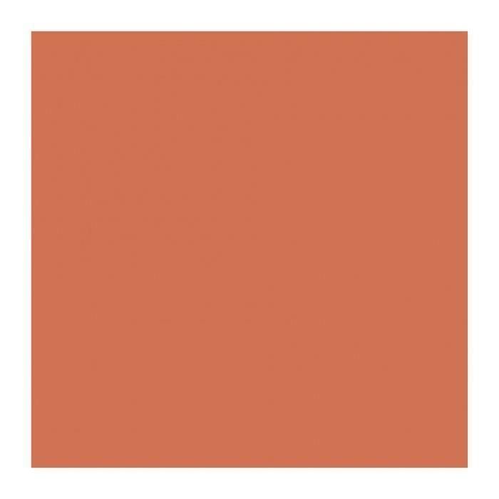 Ripolin RIP3174269070375 Pintura Impermeabilizante para Techos de Terracota 4 L 1