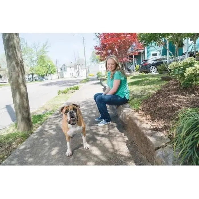 Petsafe Sistema de Apoyo Educativo 600m para Perros | Estimulación Electrostática, Vibración y Sonido, 15 Niveles, Impermeable, Recargable USB, Mando Digital 1