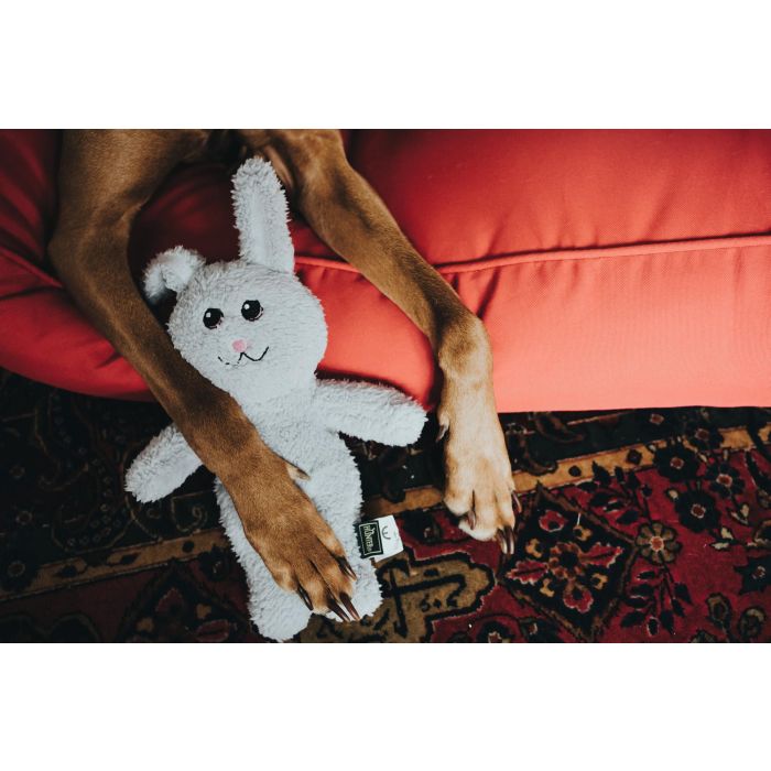 Juguete para perros Hunter Terni Gris Conejo Juguete para perros Hunter Terni Gris Conejo