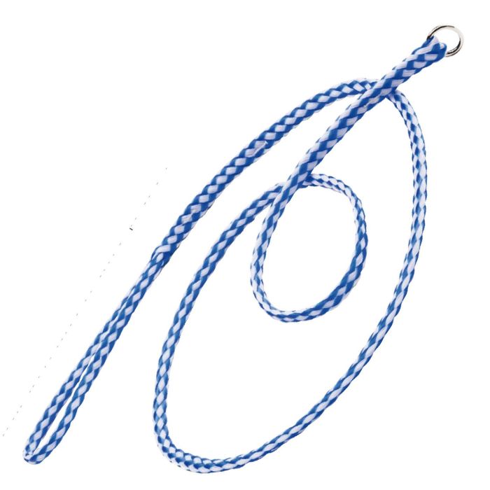 Kvp Collar-Correa Ahogo Blanca-Azul 120 cm Kvp Collar-Correa Ahogo Blanca-Azul 120 cm