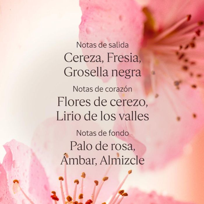 L'OCCITANE EN PROVENCE Loción Corporal Fleurs De Cerisier 250 ml 2 L'OCCITANE EN PROVENCE Loción Corporal Fleurs De Cerisier 250 ml 2