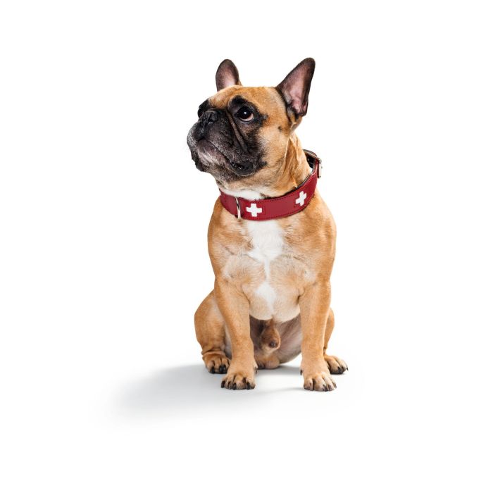 Collar Swiss 38-43.5 cm Rojo-Negro 2 Collar Swiss 38-43.5 cm Rojo-Negro 2