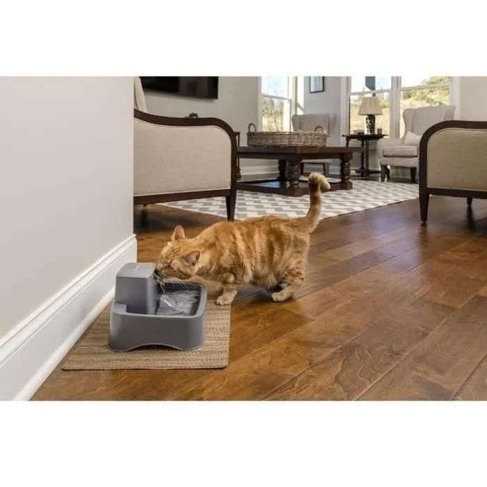 PetSafe Drinkwell Water Cooler Fuente de Agua para Gatos y Perros Pequeños 1,8 L Sin BPA Doble Filtración Flujo Ajustable 1 PetSafe Drinkwell Water Cooler Fuente de Agua para Gatos y Perros Pequeños 1,8 L Sin BPA Doble Filtración Flujo Ajustable 1