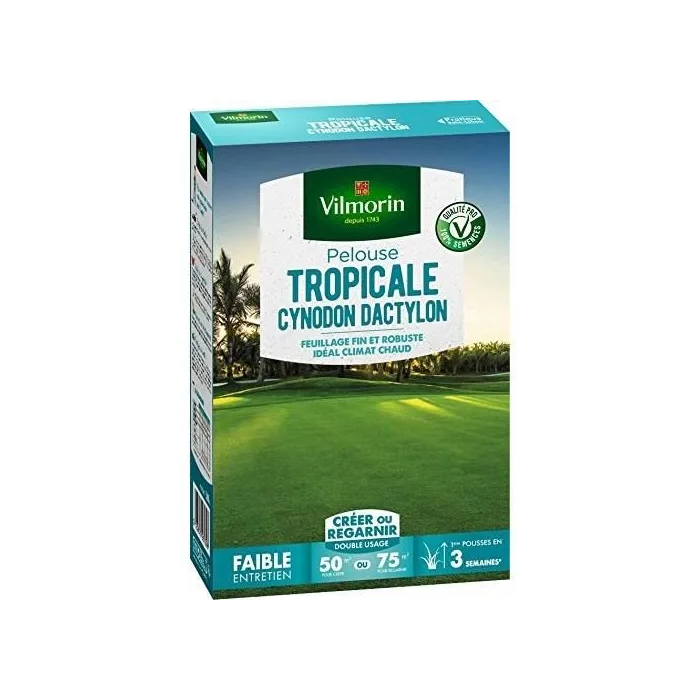 Vilmorin VIL3182670261398 Semillas de hierba marina Les Tropicales Cynodon Dactylon - 500 g 1