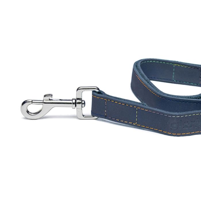 Gloria Correa Oasis 60 cm X 30 mm Azul para Perro de Piel 4
