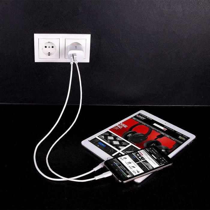 Cargador portátil LINDY 73413 Blanco 3