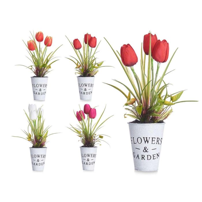 Planta Tulipan Bote Metal Surtidos Ibergarden 15x31x15cm (12 Unidades) 0 Planta Tulipan Bote Metal Surtidos Ibergarden 15x31x15cm (12 Unidades) 0