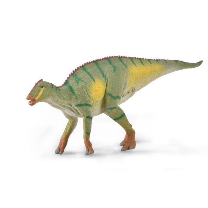 Kamuysaurus - M - 88910 - Collecta 1 Kamuysaurus - M - 88910 - Collecta 1