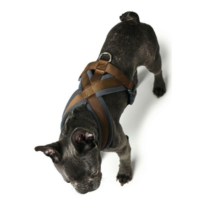 Arnés London Comfort Pecho 48-56 cm S-M Marrón Arnés London Comfort Pecho 48-56 cm S-M Marrón