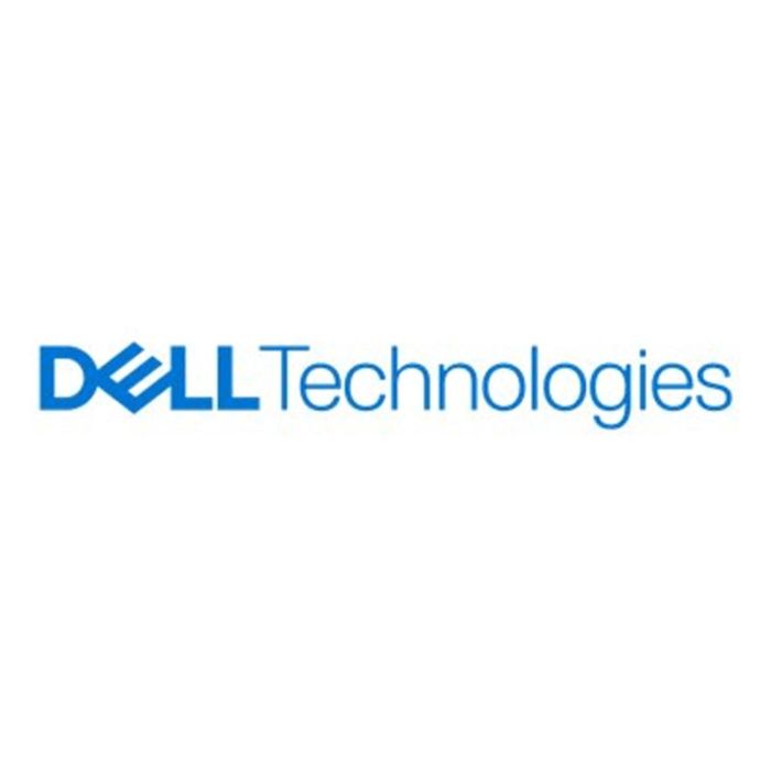 Dell Disco Duro Interno SSD 480 GB 2.5 Pulgadas SATA 6Gb/s Hot-Swap Read-Intensive Endurance