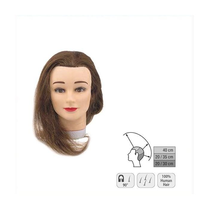 Sinelco Cabeza De Aprendizaje Student 35-40Cm (0030201) Sinelco Cabeza De Aprendizaje Student 35-40Cm (0030201)
