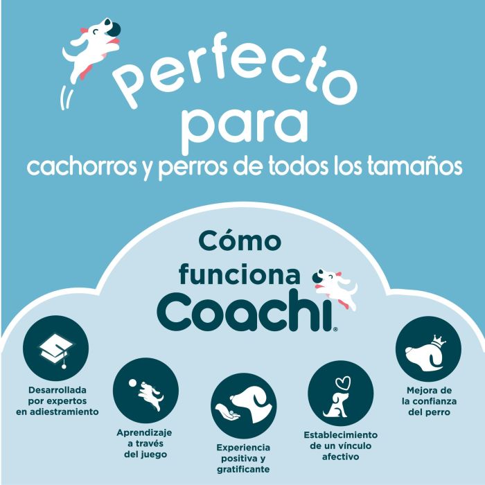 Portatodo Coachi Train & Treat Azul 4