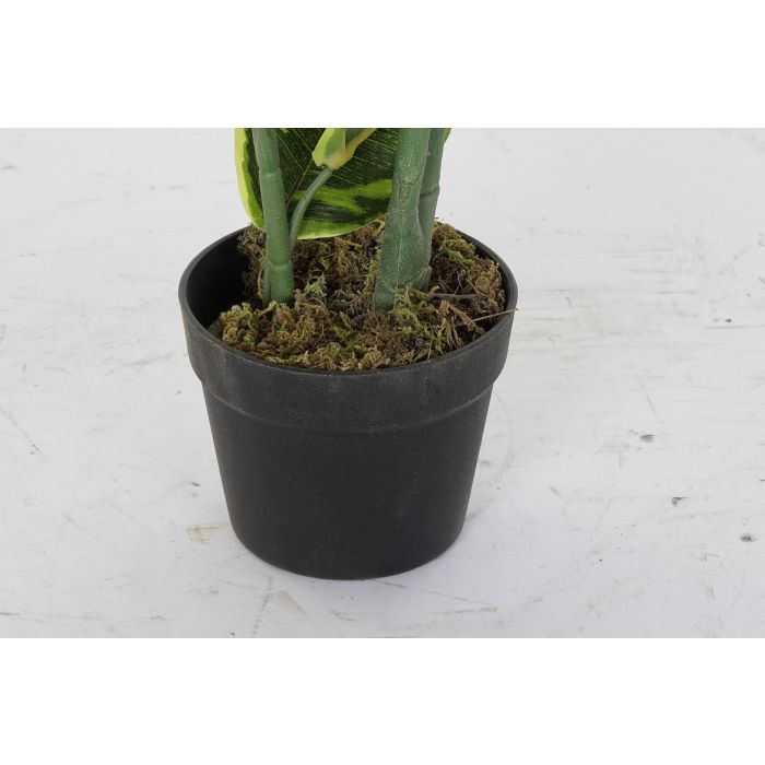 DKD Home Decor Planta Verde 40 x 40 x 120 cm 2