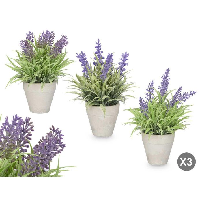 Ibergarden Maceta Decorativa de Cemento para Plantas con Diseño Lavanda, Colores Surtidos (Morado, Verde) 15x22x15 cm (24 Unidades) Ibergarden Maceta Decorativa de Cemento para Plantas con Diseño Lavanda, Colores Surtidos (Morado, Verde) 15x22x15 cm (24 Unidades)