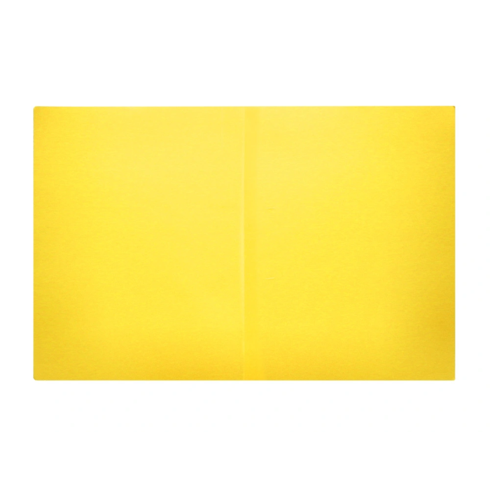 Liderpapel Subcarpeta Din A4 Amarillo Intenso 180g/m2 4