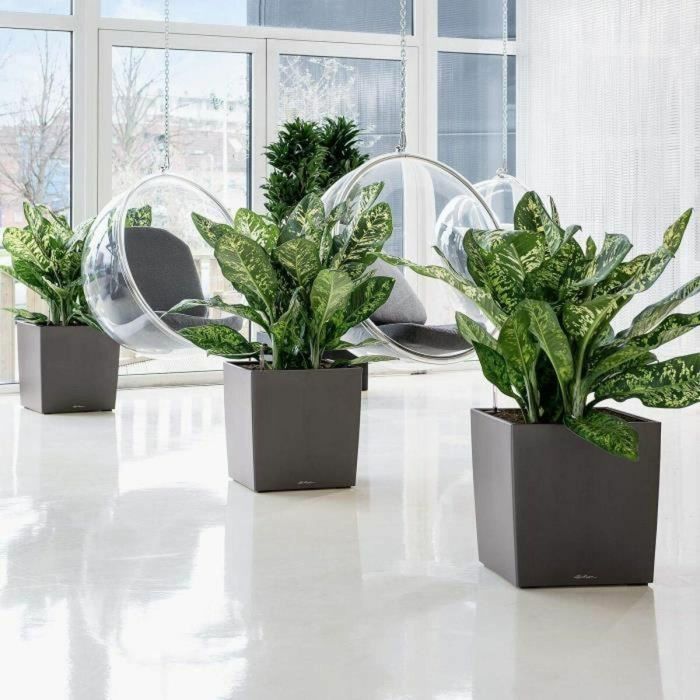 Lechuza LEC4008789165602 Maceta Cube Premium 50 blanco brillante resistente a la intemperie y a los rayos UV 2 Lechuza LEC4008789165602 Maceta Cube Premium 50 blanco brillante resistente a la intemperie y a los rayos UV 2