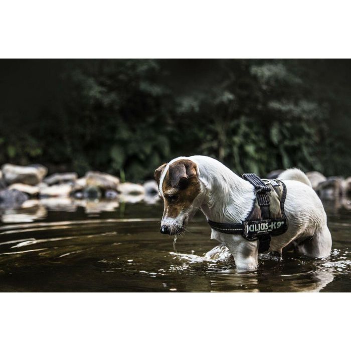 Arnés para Perro Julius K9 Power L/XL 2 1