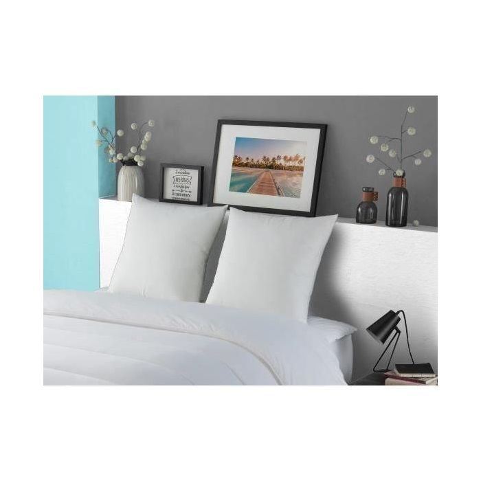 Almohada DODO LUXOR 60x60 cm - 100% Algodón - Efecto plumón 3 Almohada DODO LUXOR 60x60 cm - 100% Algodón - Efecto plumón 3