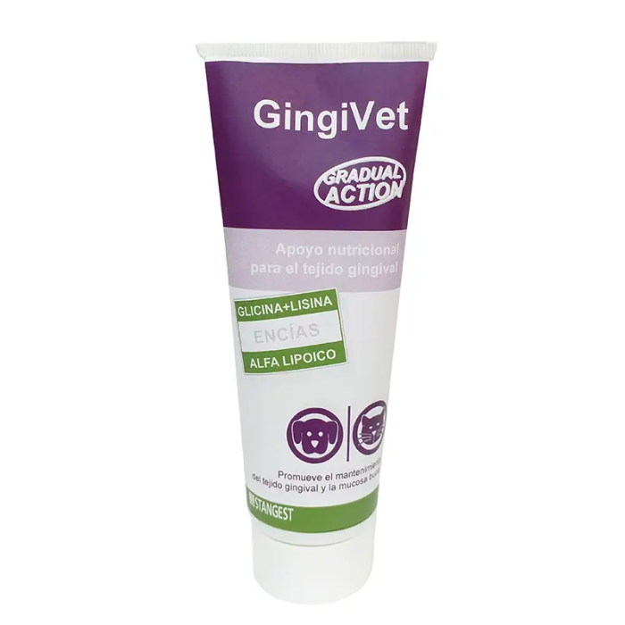 Gingivet Pasta 100 gr Gingivet Pasta 100 gr