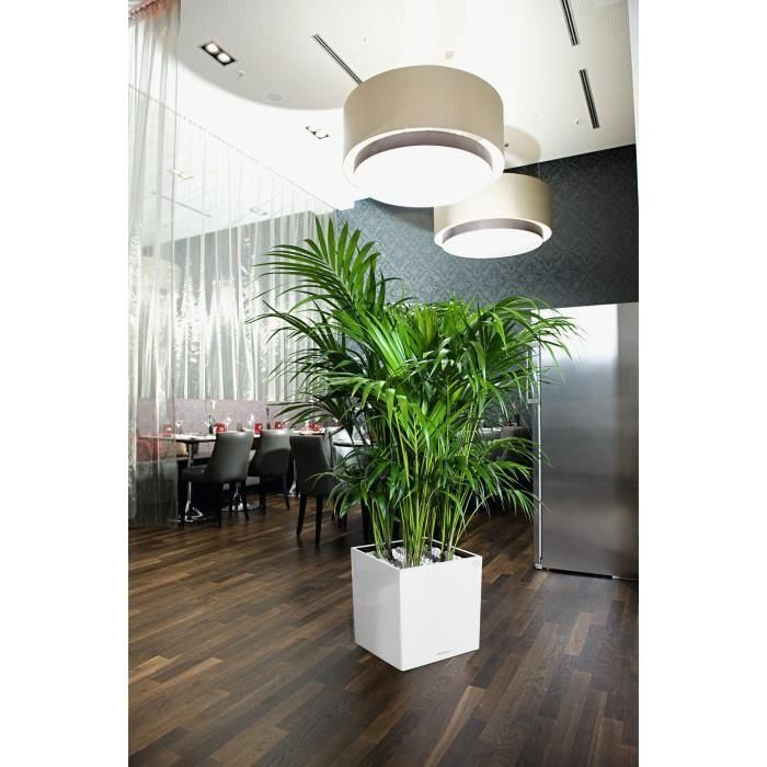 Lechuza LEC4008789163608 Maceta Cube Premium 40 - juego completo, blanco brillante 1