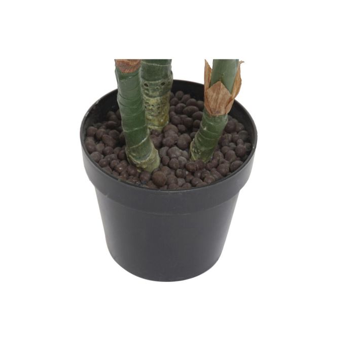 Planta DKD Home Decor Verde 80 x 100 x 80 cm 1