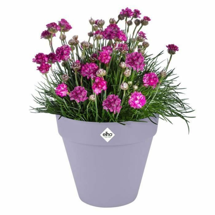 Maceta - Elho - Loft Urban Redonda - Morada - L 29 x An 28,5 x Al 26 cm - Exterior - 100% reciclada 4 Maceta - Elho - Loft Urban Redonda - Morada - L 29 x An 28,5 x Al 26 cm - Exterior - 100% reciclada 4