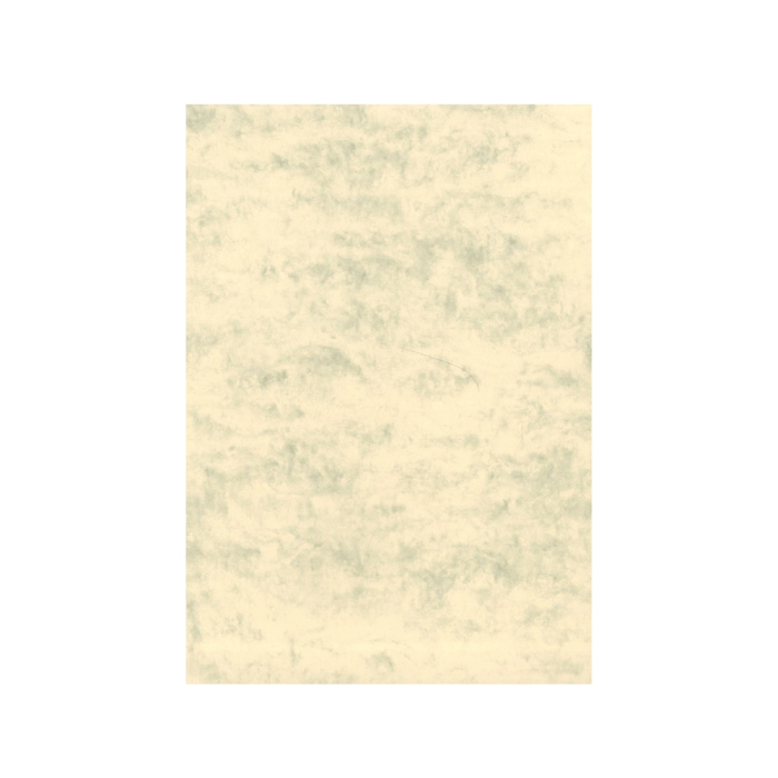 Michel Cartulina DIN A3 200 gr Gris Paquete de 100 Hojas 1