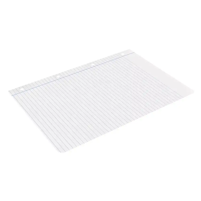 Liderpapel Recambio A4 100 Hojas 75gr Horizontal con Margen 4 Taladros 6