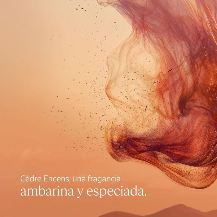 L'Occitane En Provence CÉDRE ENCENS Gel de Ducha 250 ml 1
