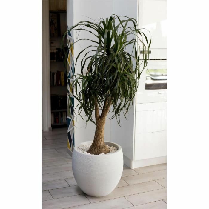 EDA Graphit maceta redonda Ø50cm - Capacidad 46L - Blanco encalado 3 EDA Graphit maceta redonda Ø50cm - Capacidad 46L - Blanco encalado 3