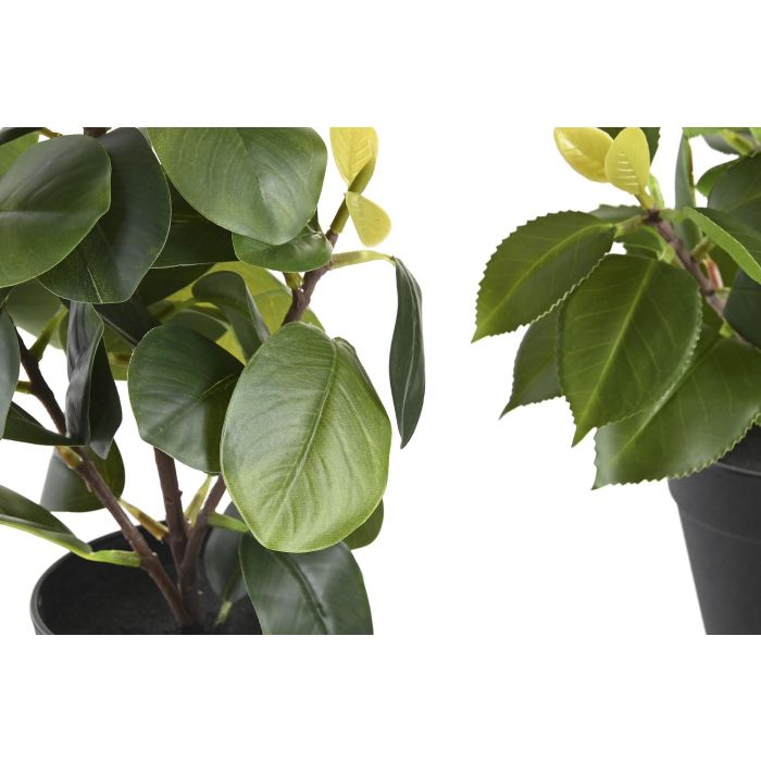 Planta Decorativa DKD Home Decor Verde PP PE Ficus (2 Unidades) (21 x 18 x 30 cm) 1 Planta Decorativa DKD Home Decor Verde PP PE Ficus (2 Unidades) (21 x 18 x 30 cm) 1