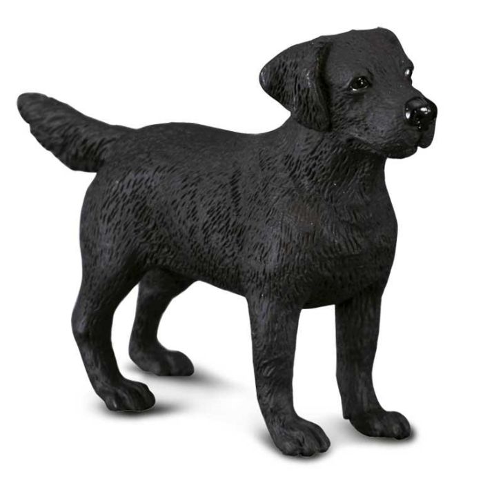 Collecta 88076 Labrador Retriever - Figura Realista a Escala M, Pintada a Mano, Modelo Detallado de Perro para Coleccionistas y Niños +3 Años Collecta 88076 Labrador Retriever - Figura Realista a Escala M, Pintada a Mano, Modelo Detallado de Perro para Coleccionistas y Niños +3 Años