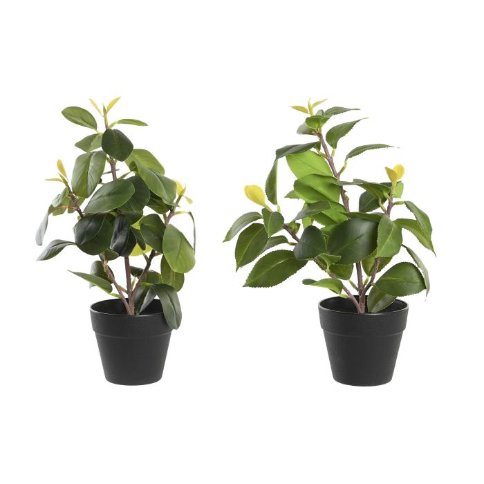 Planta Decorativa DKD Home Decor Verde PP PE Ficus (2 Unidades) (21 x 18 x 30 cm) 0 Planta Decorativa DKD Home Decor Verde PP PE Ficus (2 Unidades) (21 x 18 x 30 cm) 0