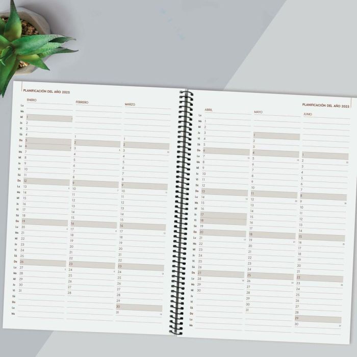 Agenda Finocam YEAR Negro A4 21 x 29,7 cm 2025 3