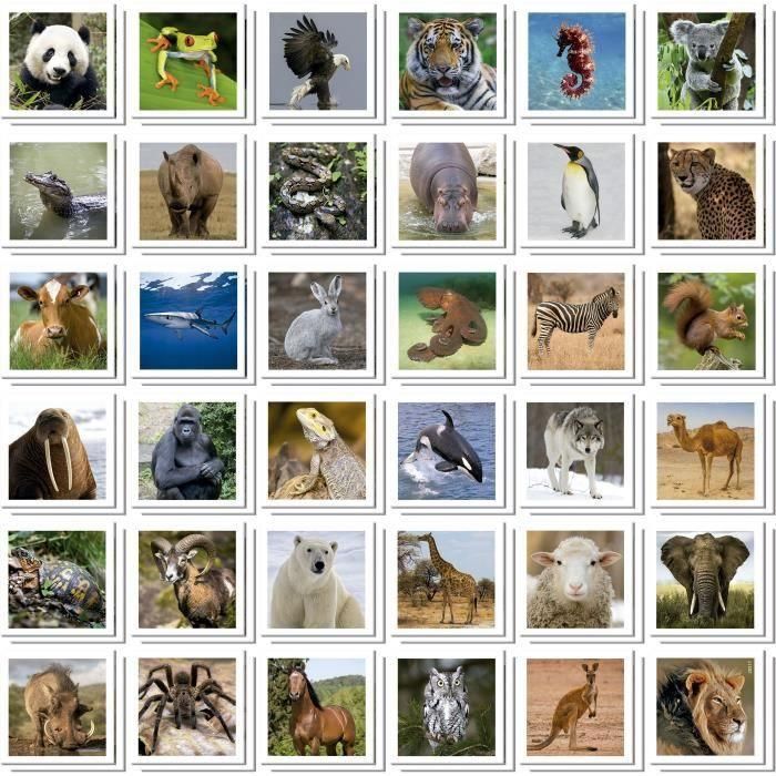 Borras 20317 Identic Memo Game Animales Educa - Juego de Memoria Infantil +3 Años, esencial para agudeza visual, atención y memoria. 1 Borras 20317 Identic Memo Game Animales Educa - Juego de Memoria Infantil +3 Años, esencial para agudeza visual, atención y memoria. 1