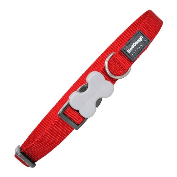 Red Dingo Collar Perro Liso Rojo Nylon 20mm x 31-47cm – Resistente, Extra Cómodo, Ajustable y Duradero con Anilla D Acero Inoxidable