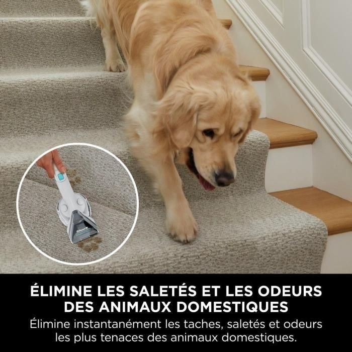 Shark Limpiador de Manchas y Tapicerías Especial para Mascotas, Elimina Manchas Difíciles y Olores 3 Shark Limpiador de Manchas y Tapicerías Especial para Mascotas, Elimina Manchas Difíciles y Olores 3