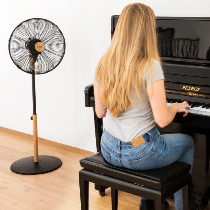 Ventilador de Pie Cecotec EnergySilence 600 Woodstyle Negro 50 W 1 Ventilador de Pie Cecotec EnergySilence 600 Woodstyle Negro 50 W 1