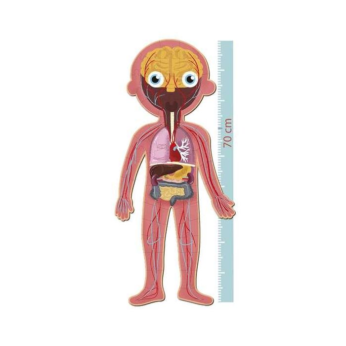 Puzle Cuerpo Humano 240 Piezas R.19438 Apli 2 Puzle Cuerpo Humano 240 Piezas R.19438 Apli 2