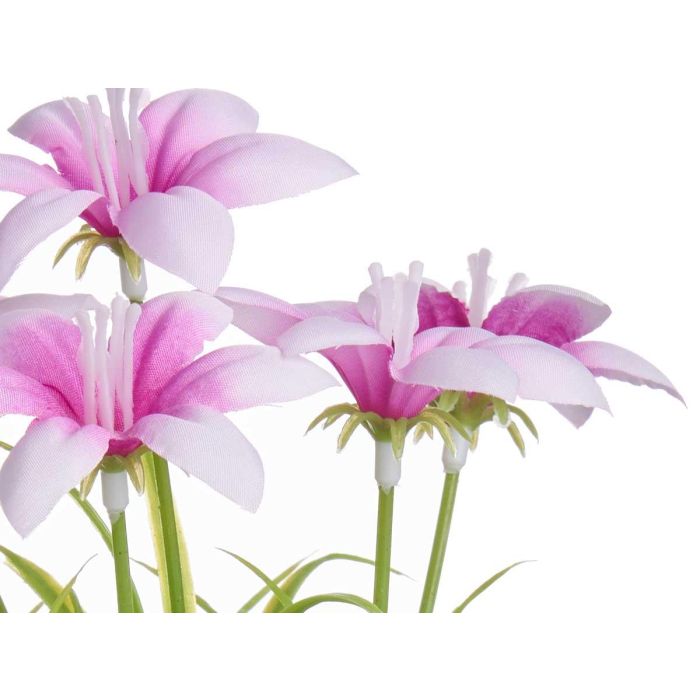 Maceta Flor Abierta Surtidos Ibergarden 14x21x14cm (24 Unidades) 2 Maceta Flor Abierta Surtidos Ibergarden 14x21x14cm (24 Unidades) 2